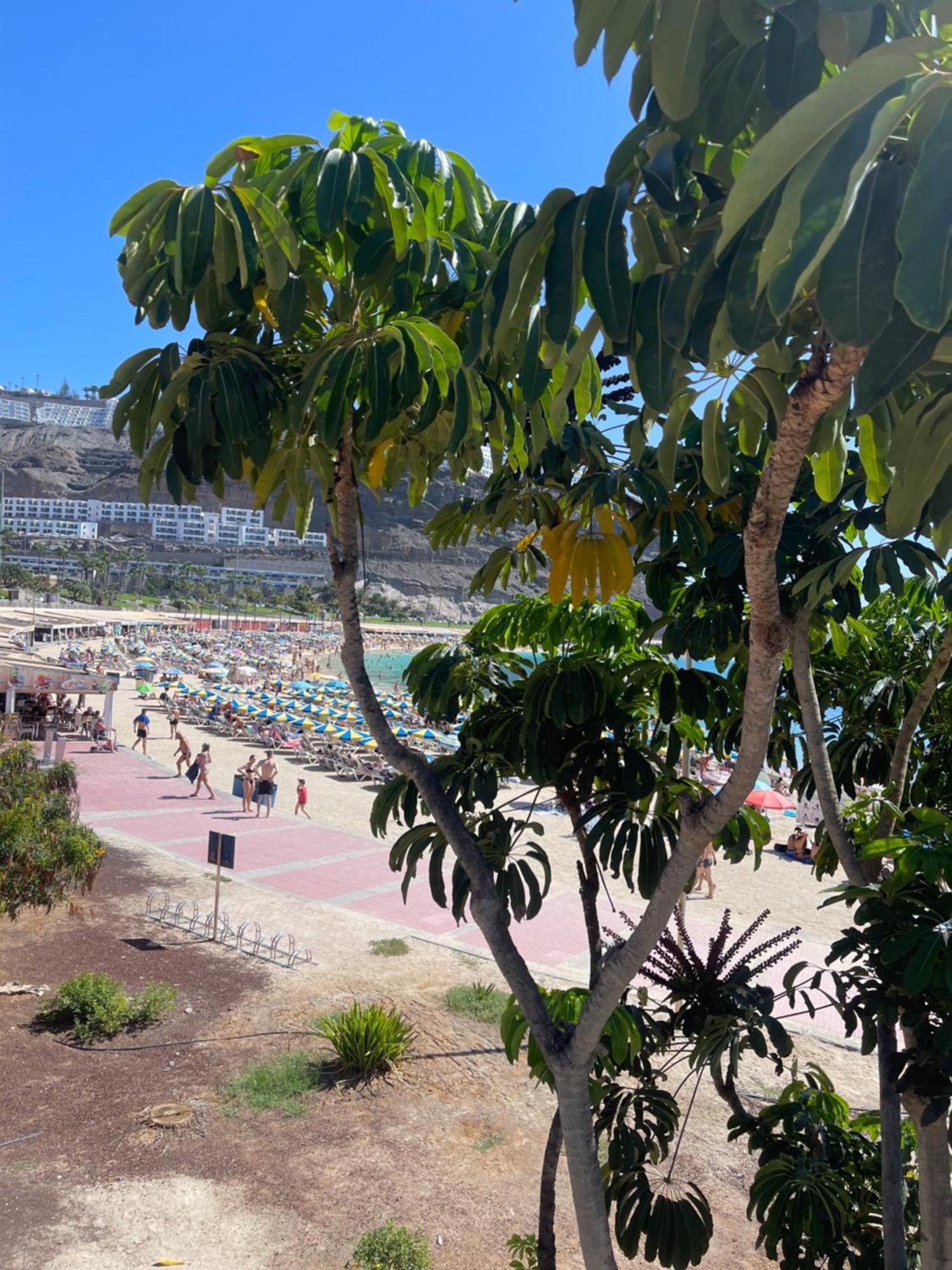 Puerto Rico New 2 Bedroom Apart المظهر الخارجي الصورة